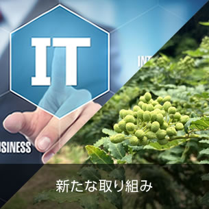 新たな取り組み